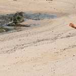 cropped-header-mar-azul-costa-rica-yoga.jpg