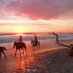 Santa Teresa beach on the pacific coast of Costa Rica. Horse riders at sunset, while two surfers hang out and play guitar.