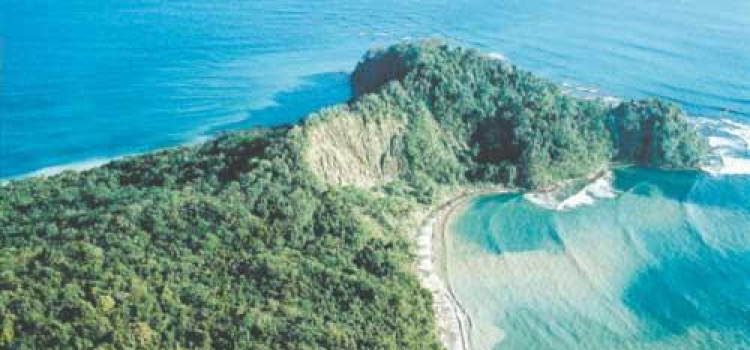 Cabo Blanco Nature Reserve – Finding Nature’s Paradise Cabo Blanco Nature Reserve – Finding Nature’s Paradise