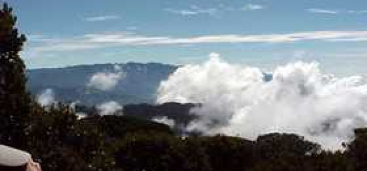 Cerro de la Muerte: Costa Rica’s Highest Peak Cerro de la Muerte: Costa Rica’s Highest Peak