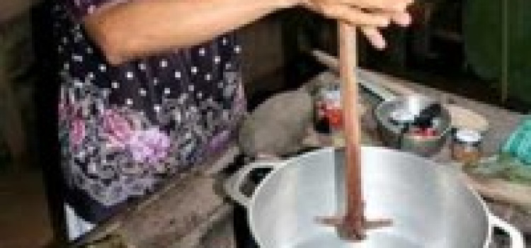 Chocolate Tours of Costa Rica Chocolate Tours of Costa Rica