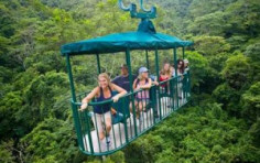 The Aerial Tram Atlantic from San Jose: Enjoy the Costa Rican Rainforests Up in the Air