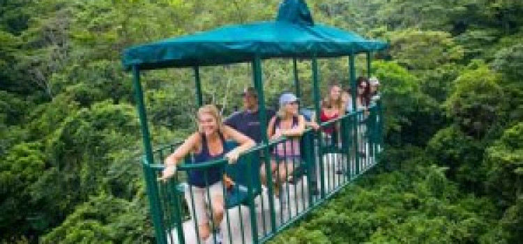 The Aerial Tram Atlantic from San Jose: Enjoy the Costa Rican Rainforests Up in the Air The Aerial Tram Atlantic from San Jose: Enjoy the Costa Rican Rainforests Up in the Air