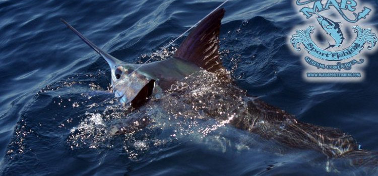 Costa Rica Sportfishing Costa Rica Sportfishing