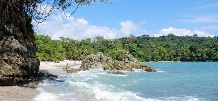 Best National Parks in the Central Pacific Coast Best National Parks in the Central Pacific Coast