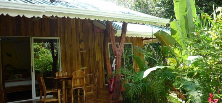 Hotel El Pequeno Gecko Verde Hotel El Pequeno Gecko Verde