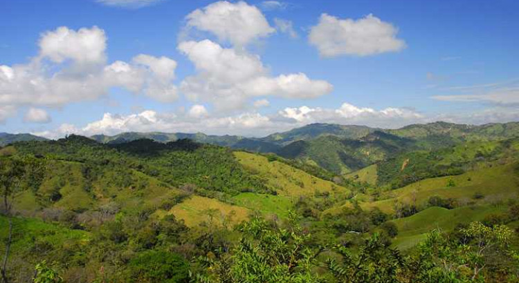 Scenic Farmlands of Costa Rica