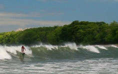 Best 10 Surf Camps in Costa Rica