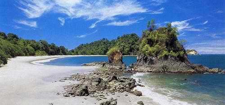 The Manuel Antonio National Park: Small in Size, Big on Biodiversity The Manuel Antonio National Park: Small in Size, Big on Biodiversity