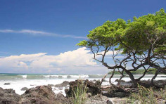 Nicoya Beaches of Costa Rica: Enjoy Privacy and Seclusion Nicoya Beaches of Costa Rica: Enjoy Privacy and Seclusion