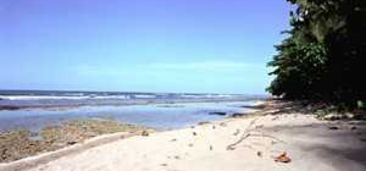 Pavones: Costa Rica’s Tranquil Town Pavones: Costa Rica’s Tranquil Town