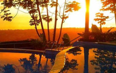 Whales and Dolphins Eco Lodge Whales and Dolphins Eco Lodge