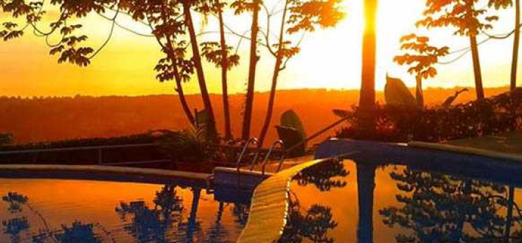 Whales and Dolphins Eco Lodge Whales and Dolphins Eco Lodge