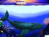 The Divine Dolphin The Divine Dolphin