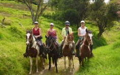 6 Best Horseback Riding Tours in Costa Rica 6 Best Horseback Riding Tours in Costa Rica