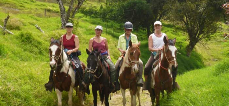 6 Best Horseback Riding Tours in Costa Rica