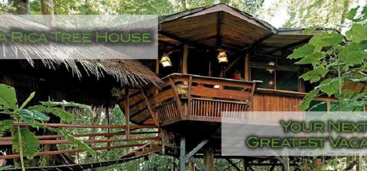 Tree House Lodge