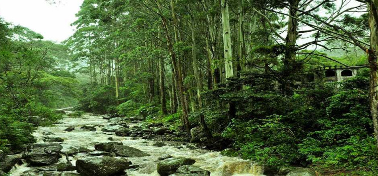 Los Quetzales National Park Los Quetzales National Park