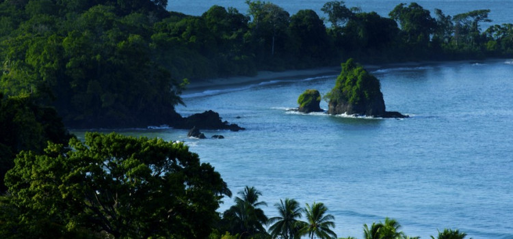 Manuel Antonio Surf Guide