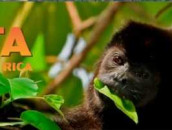 Tiskita Jungle Lodge Tiskita Jungle Lodge