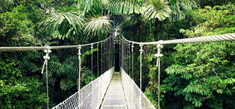 Arenal Hanging Bridges Arenal Hanging Bridges