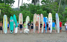 Green Iguana Surf Camp Green Iguana Surf Camp