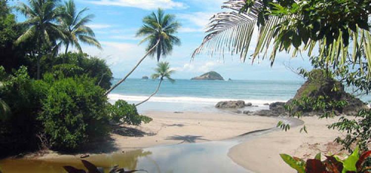 Tamarindo Surf Spot Guide Tamarindo Surf Spot Guide