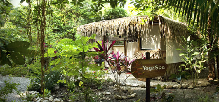 Pura Vida Adventures Pura Vida Adventures