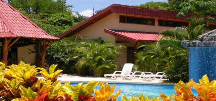 Iguana Expeditions and Surf School Iguana Expeditions and Surf School