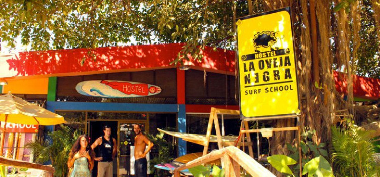 La Oveja Negra Surf Camp and Hostel La Oveja Negra Surf Camp and Hostel