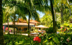 Peaks ‘n Swells Surf Camp Peaks ‘n Swells Surf Camp