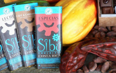 Costa Rica Chocolate Tours Costa Rica Chocolate Tours