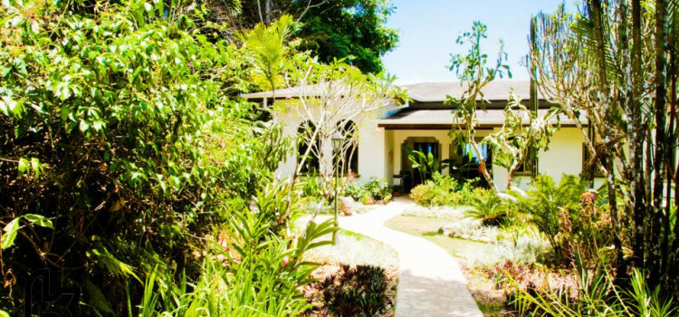 Kalon Surf – The Luxury Surf Coaching Resort in Costa Rica Kalon Surf – The Luxury Surf Coaching Resort in Costa Rica