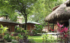Shaka Beach Retreat Resort and Surf Camp Shaka Beach Retreat Resort and Surf Camp