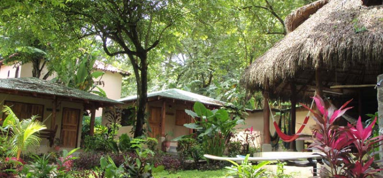 Shaka Beach Retreat Resort and Surf Camp Shaka Beach Retreat Resort and Surf Camp