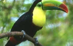 Free Things To Do In Costa Rica Free Things To Do In Costa Rica