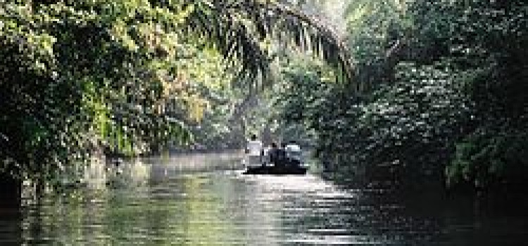 Caribbean Costa Rican Adventures Caribbean Costa Rican Adventures