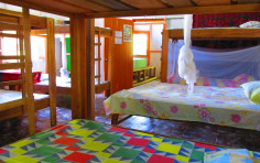 Hostel Crocodile Surf Camp Hostel Crocodile Surf Camp