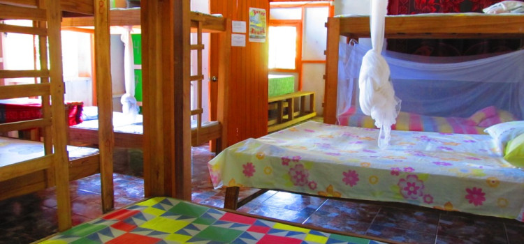 Hostel Crocodile Surf Camp Hostel Crocodile Surf Camp