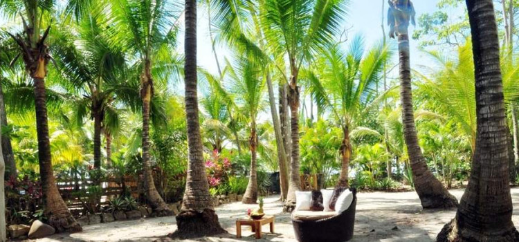 Luz de Vida Beachfront Surf Resort Luz de Vida Beachfront Surf Resort