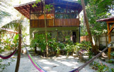 The Jungle House