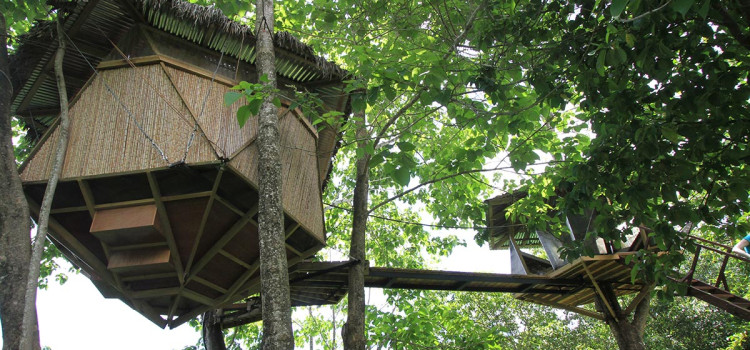 Treehouses in Costa Rica
