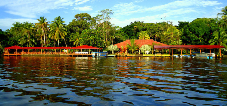 La Baula Lodge La Baula Lodge
