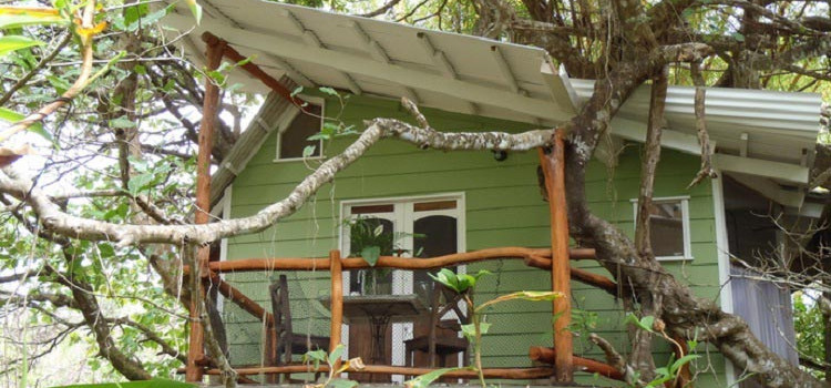Playa Selva Tree House Lodge