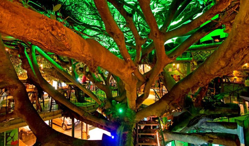 Tree House Restaurant and Cafe