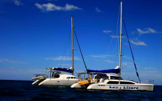 Lazy Lizard Sailing Lazy Lizard Sailing