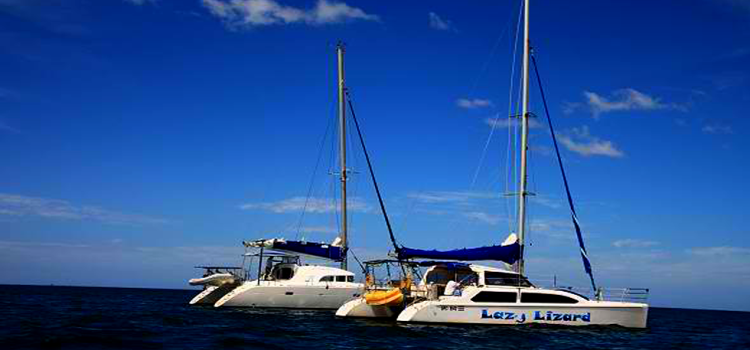 Lazy Lizard Sailing Lazy Lizard Sailing