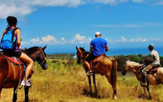 Rancho Tropical Rancho Tropical