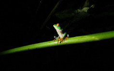 Elemento Natural Elemento Natural