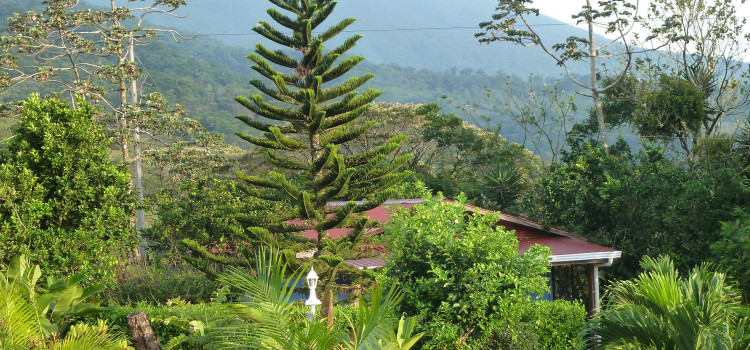 Sueno Celeste Bed and Breakfast Sueno Celeste Bed and Breakfast